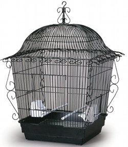 Jumbo Scrollwork Cage